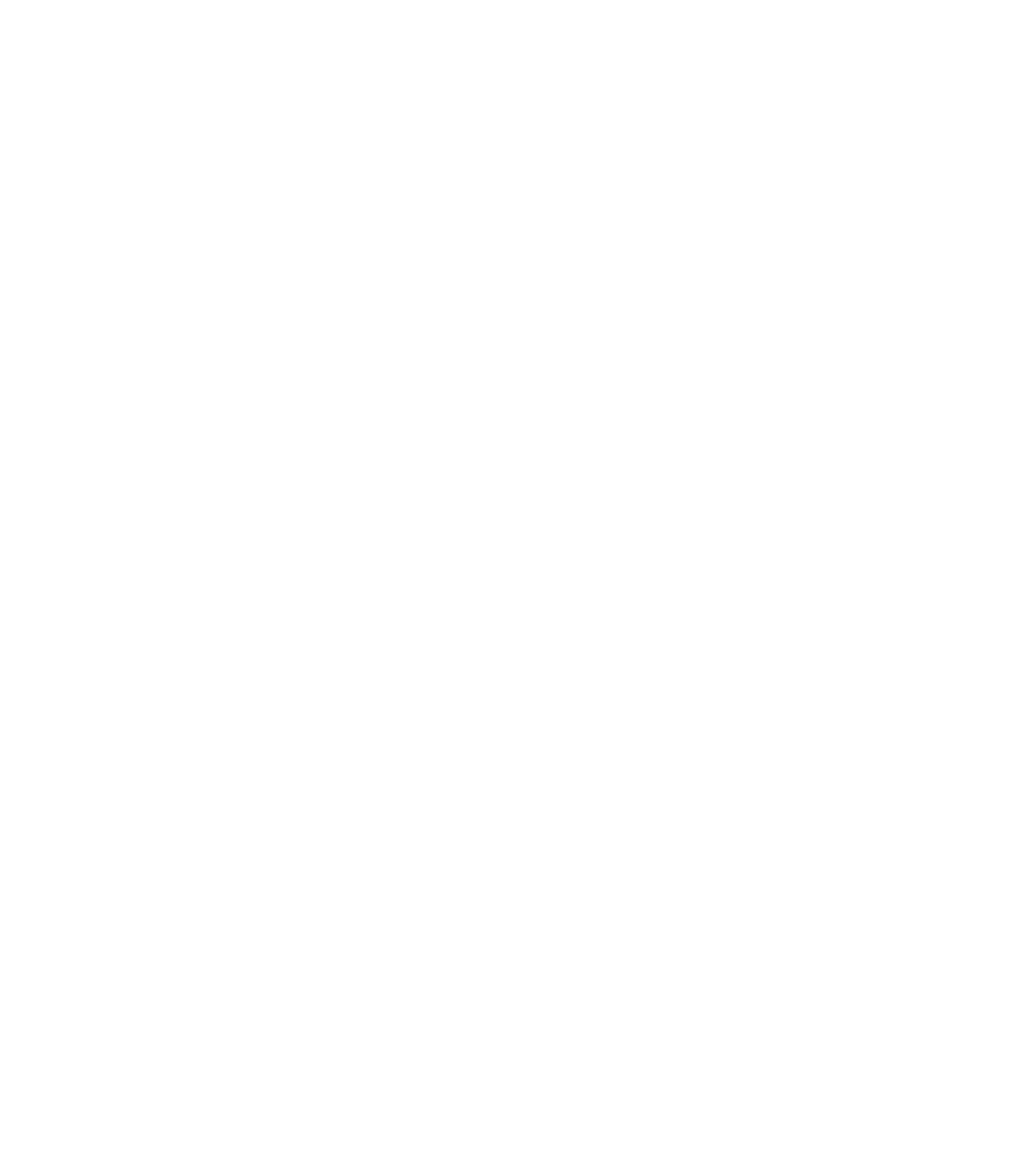 roadmap
